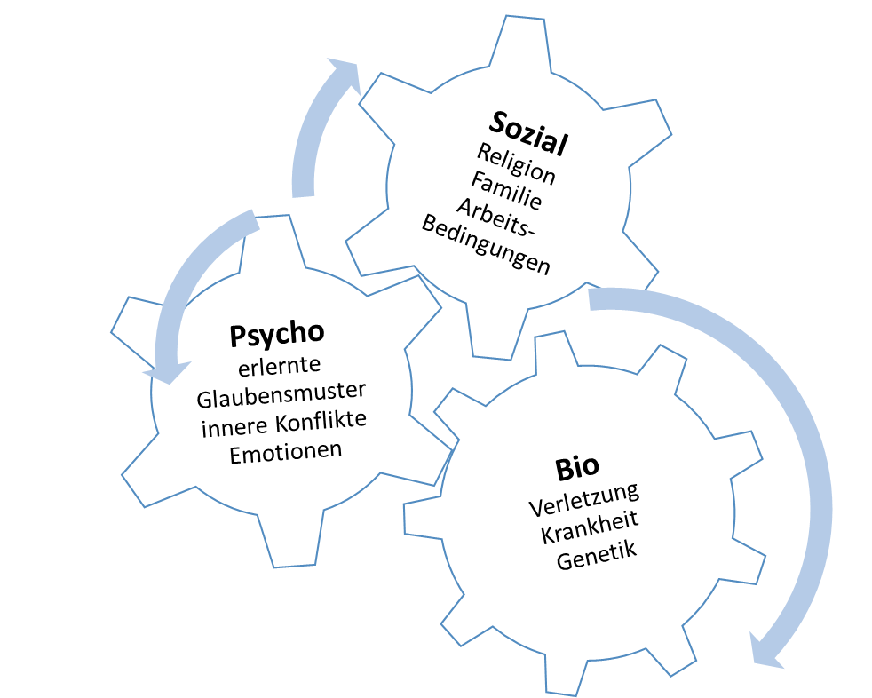 Diagramm Bio-Psycho-Soziales Modell: Drei ineinandergreifende Zahnräder zeigen die Bereiche Bio (Verletzung, Krankheit, Genetik), Psycho (Glaubensmuster, Konflikte, Emotionen) und Sozial (Familie, Religion, Arbeitsbedingungen) als ganzheitliches Gesundheitsmodell