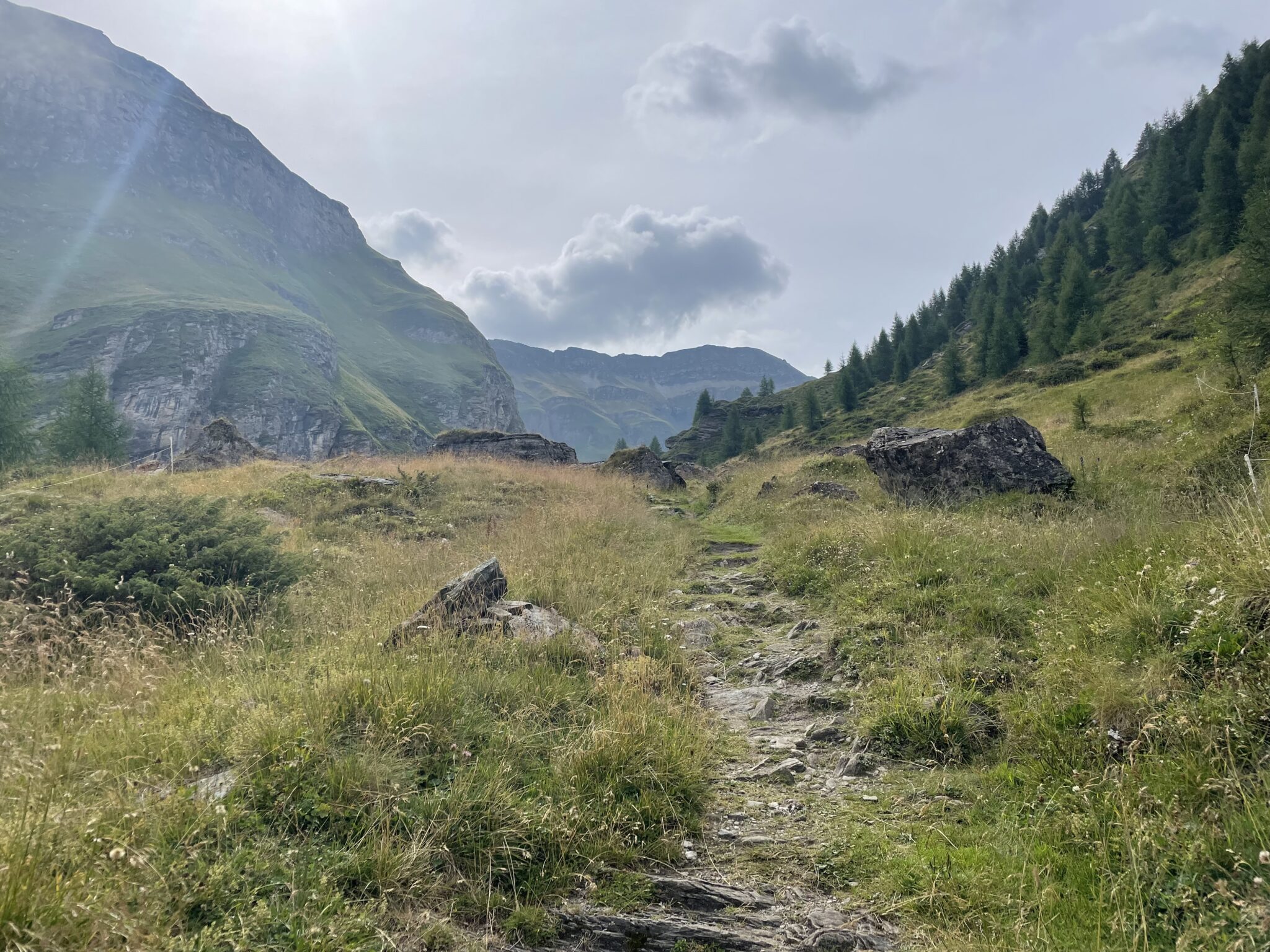 Alpiner Bergpfad durch einen Wiesenhang mit Kiefern und Lärchen, Felsgipfel im Hintergrund